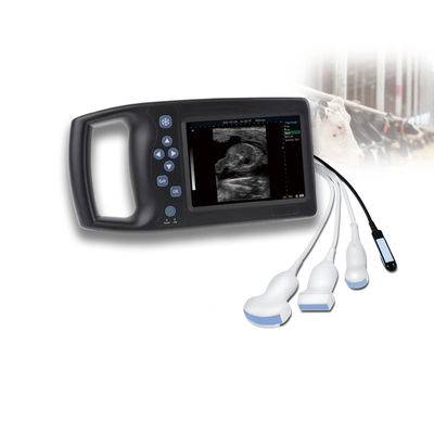 calidad Veterinary Ultrasound Probe Medical Equipment Good Support Veterinary Ultrasound Scanner Laptop Ultrasound Sonoscape Livestock Price fábrica